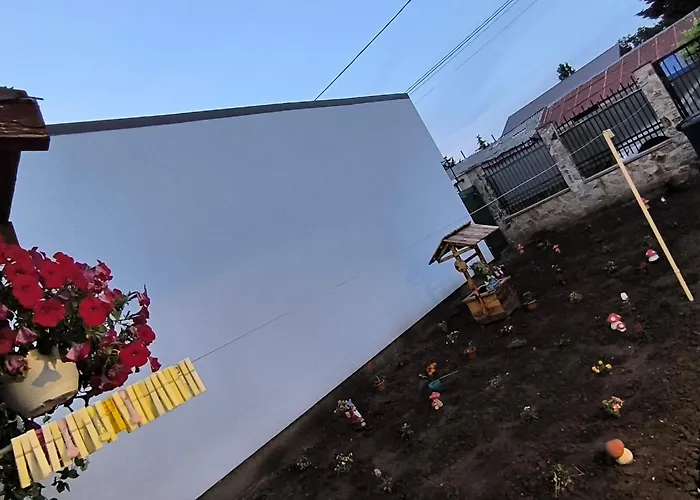 펜션 Casa De Vacanta Anni - 2 Min De Piata